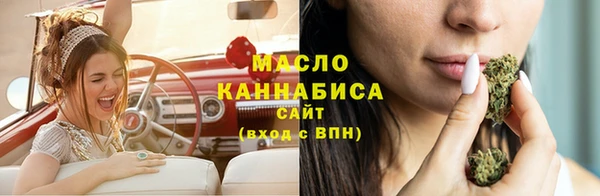 apvp Карпинск