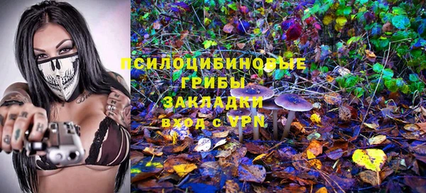 ALPHA PVP Каменка