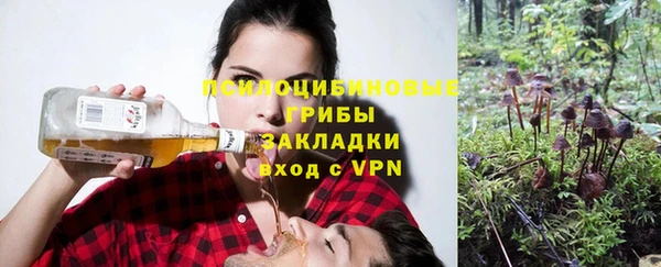 apvp Карпинск