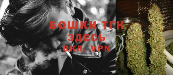 ALPHA PVP Каменка
